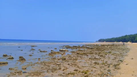 The view on the beach during the day with waves and beach sand Stock Footage 220345578