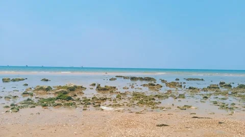 The view on the beach during the day with waves and beach sand Stock Footage 220347640