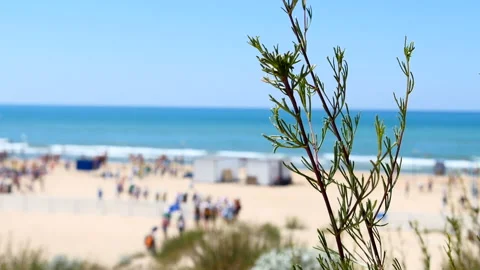 View of the beach from far away Stock Footage 93461618