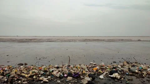 View of the Beach Filled with trash Stock Footage 230700442