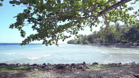 View on the beach Stock Footage 242164235