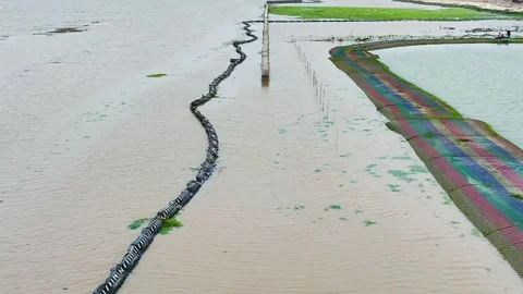 The view on the beach Stock Footage 312983728