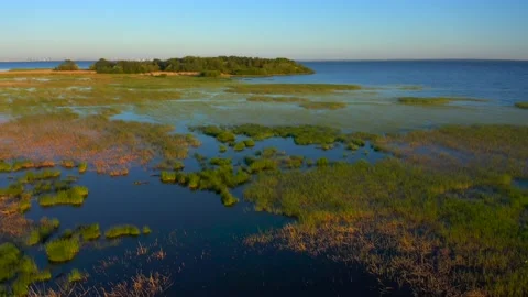 View of the beach, forest and blue sea. Aerial video of nature. Vídeos de archivo 132088132