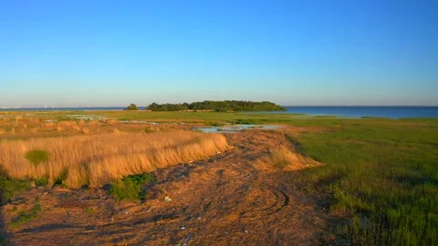 View of the beach, forest and blue sea. Aerial video of nature. Vídeos de archivo 132088404