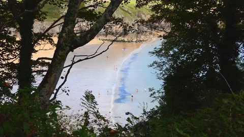 View of the beach from the grove. Wales. Stock Footage 79817950