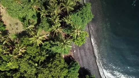 View beach Indonesia Stock Footage 241528054