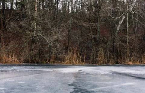 View of the beach from the lake Stock Photos