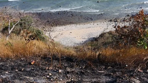 View of beach from land Stock Footage 100057269