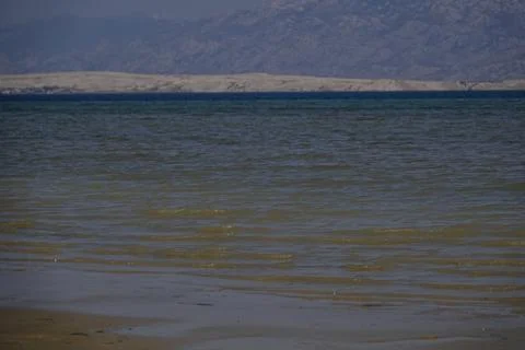 View the  beach with little waves Stock Photos