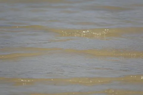 View the  beach with little waves Stock Photos
