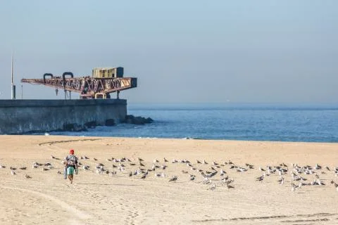 View of a beach, a man walking on sand and seagulls, sea and wall with older Stock Photos