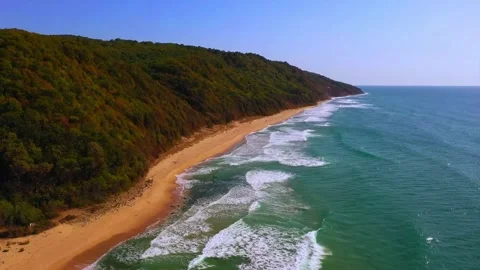 View of the beach in the morning Stock Footage 288009020