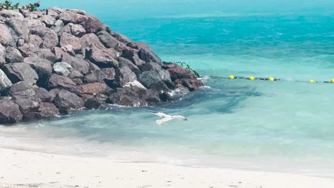 A view of the beach from MSC Cruise Lines' private island Ocean Cay, Bahamas Stock Footage 267520321