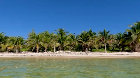 View of beach from the ocean Video stock 242027135