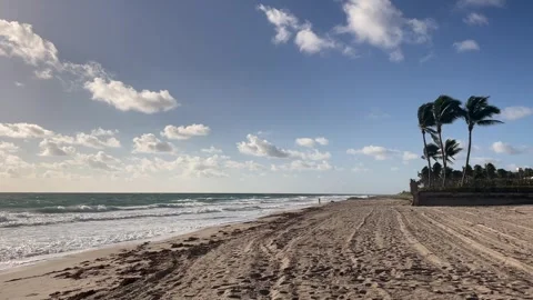 View on the beach Palm Beach Stock Footage 292833183