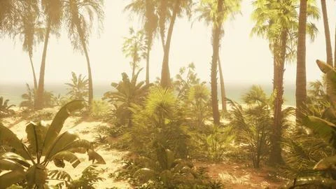 A view of a beach with palm trees and the ocean in the background Illustration