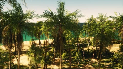A view of a beach with palm trees Vídeos de archivo 292838219
