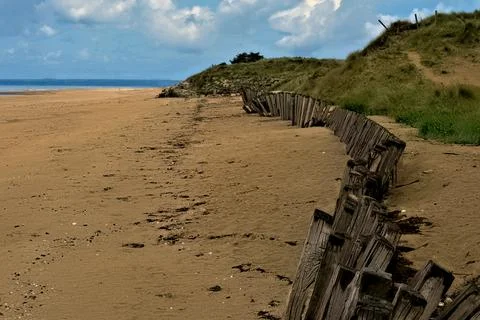 View up beach parallel to water with brown sand, weathered wood fence, grassy 写真素材