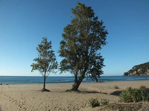 The view of the beach Stock Photos