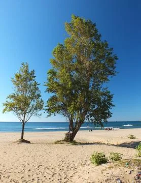 The view of the beach Stock Photos