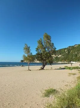 The view of the beach Stock Photos