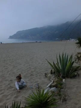 The view of the beach Stock Photos