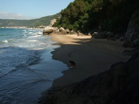The view of the beach Stock Photos