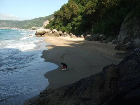 The view of the beach Stock Photos