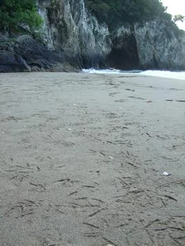 The view of the beach Stock Photos