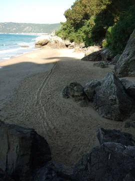 The view of the beach Stock Photos