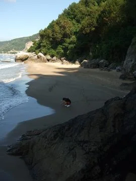 The view of the beach Stock Photos