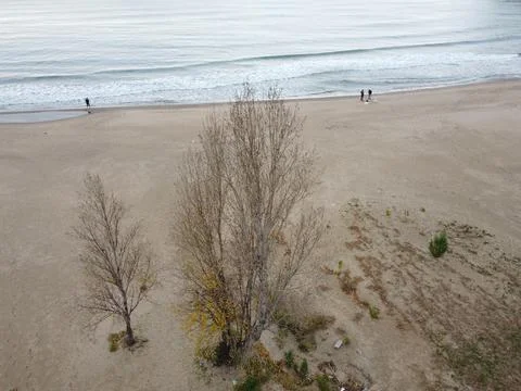 The view of the beach Stock Photos