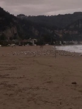 The view of the beach Stock Photos