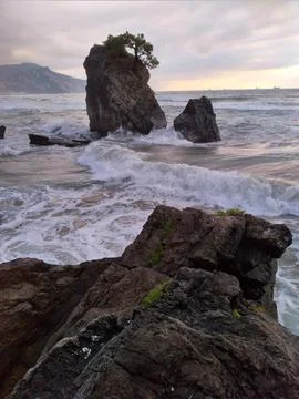 The view of the beach Stock Photos