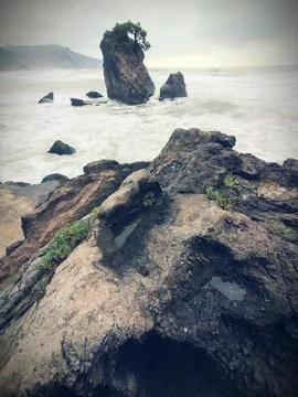 The view of the beach Stock Photos