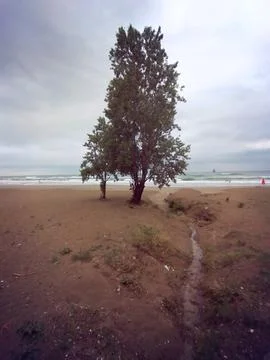 The view of the beach Stock Photos