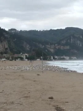 The view of the beach Stock Photos