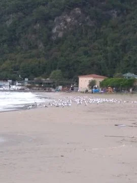The view of the beach Foto stock