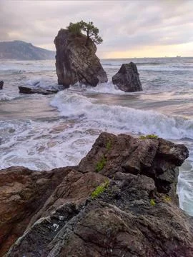 The view of the beach Stock Photos