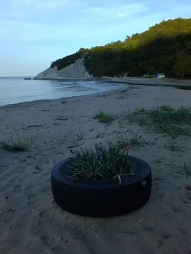 The view of the beach Stock Photos