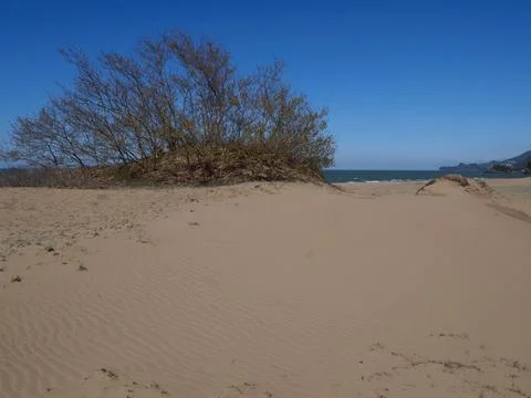 View of the beach Foto stock