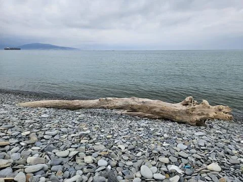 The view of the beach Stock Photos