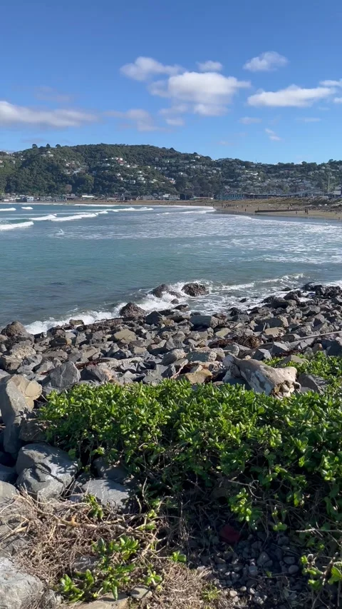 A View Of the Beach from the rocks Stock Footage 280890427