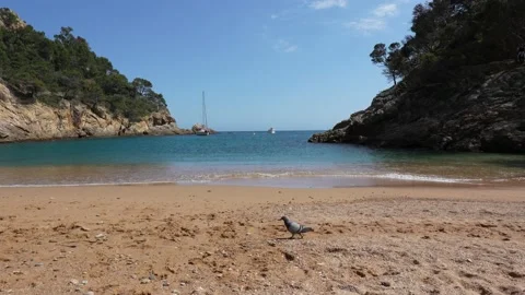 View from a beach to the rocky cliffs and mediterranean sea Stock Footage 194353416