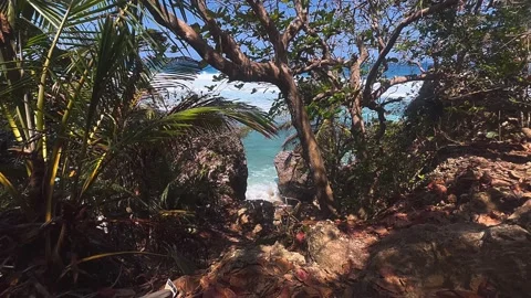View of the beach, sea, beach, waves, ocean, water, trees, coastline, summer Stock Footage 237017646