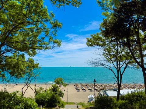 A view of a beach with sun chairs set up on the sand. Trees frame the scene a Stock Photos