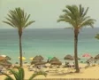View of beach with sun loungers, palm trees and sea SD Footage
