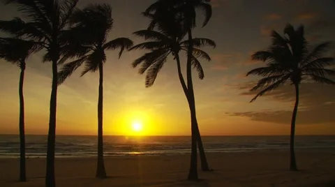 View of beach at sunset, Brazil Video stock 60690859