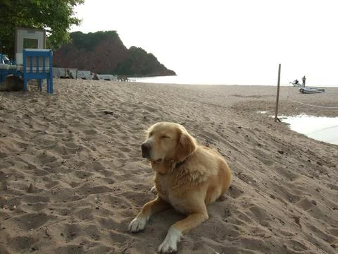 View of the beach at sunset 스톡 사진