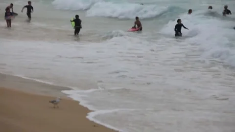 View from beach of swimmers/headland. Stock Footage 81882678